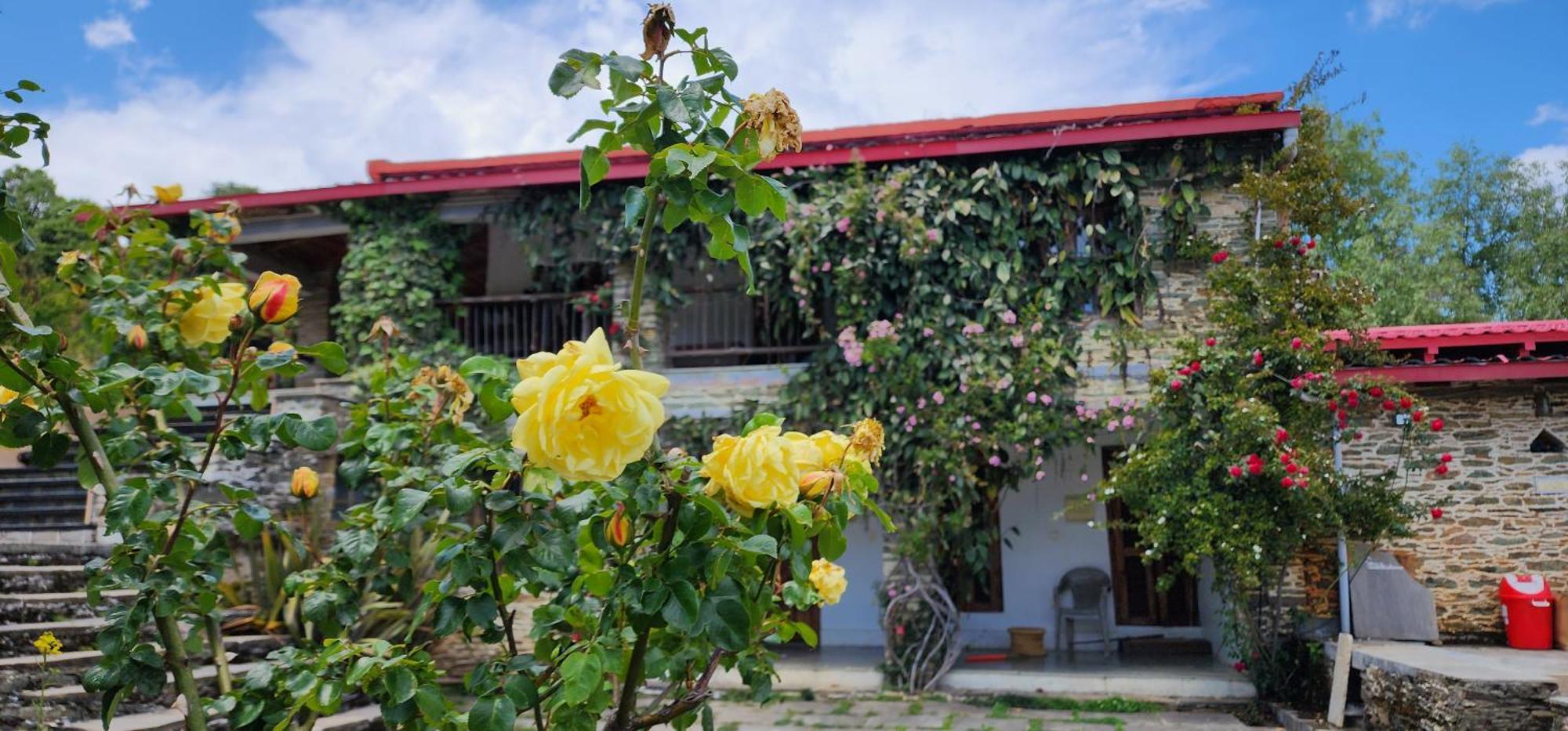 Dunagiri Retreat Dwarahat Ngoại thất bức ảnh